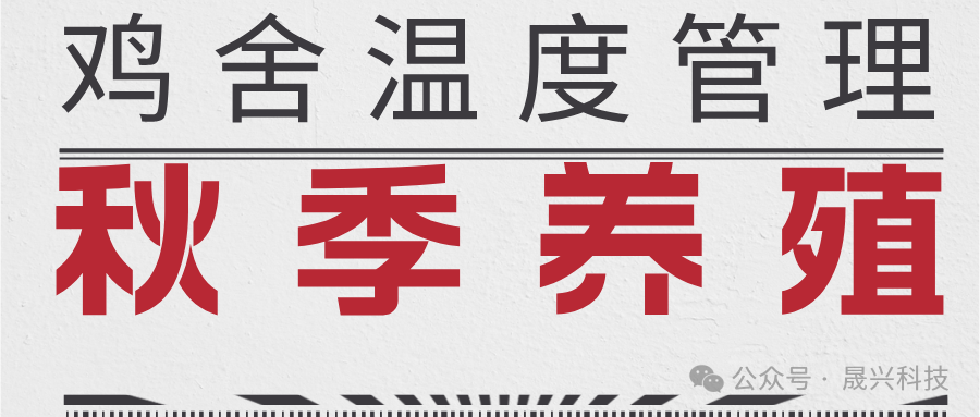 養(yǎng)雞設(shè)備