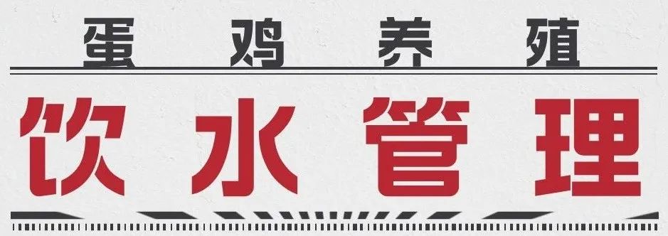 養(yǎng)雞設備